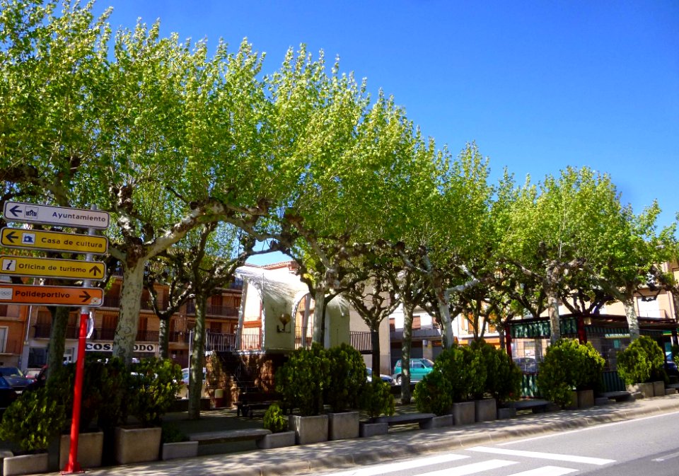 Los Arcos - Plaza del Coso 1