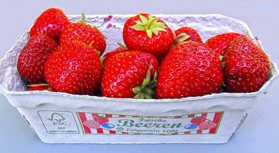 Fruit soft fruit summer