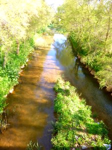 Los Arcos - Río Odrón