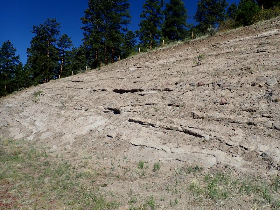 Los Pinos Formation