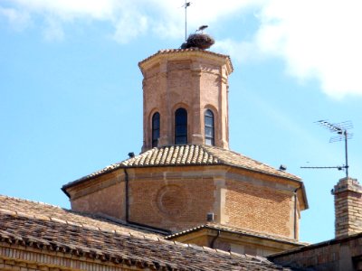 Los Arcos - Iglesia de Santa María - exteriores 02