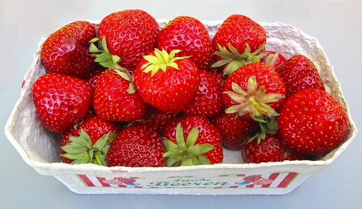 Fruit soft fruit summer
