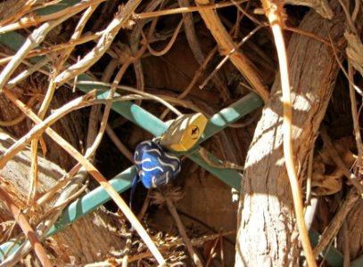 Love Padlock in Sliema