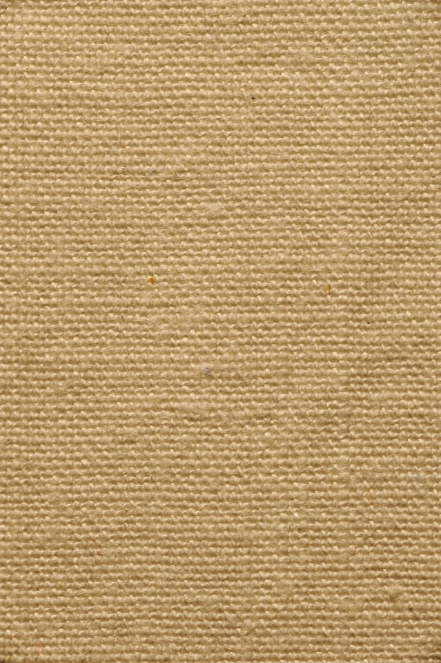 Color canvas lana