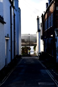 Lower Shapter Street, Topsham 2020-01-12 (3)