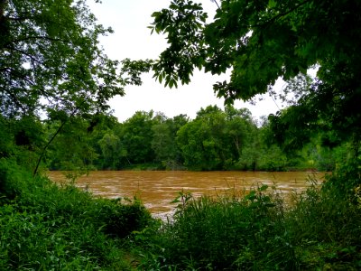 Lower Haw River Trail 3