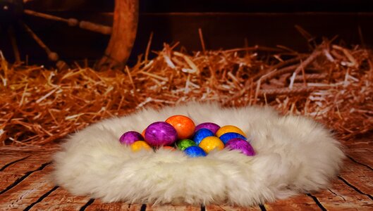 Hay lambskin happy easter