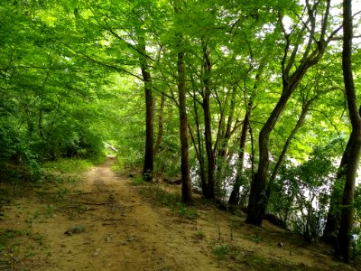 Lower Haw River Trail 2