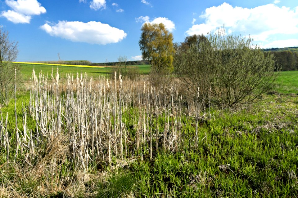 Lowland in Westerwälder Seenplatte protected landscape area 3