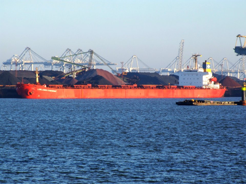 Lowlands Saguenay IMO 8408399 p04