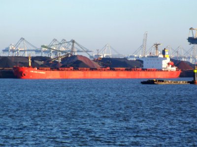 Lowlands Saguenay IMO 8408399 p04