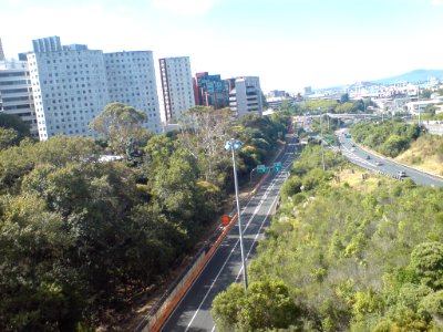 Lower Gully Section Construction I