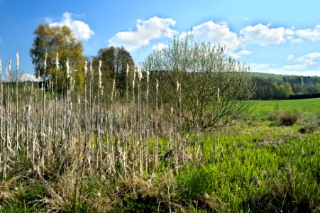 Lowland in Westerwaelder Seenplatte protected landscape area 1