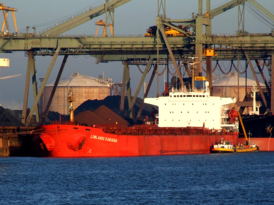 Lowlands Saguenay IMO 8408399 p05, Mississippi harbour, Port of Rotterdam, Holland 15-Dec-2007