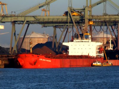 Lowlands Saguenay IMO 8408399 p05, Mississippi harbour, Port of Rotterdam, Holland 15-Dec-2007
