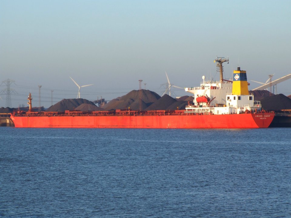 Lowlands Saguenay IMO 8408399 p01, Mississippi harbour, Port of Rotterdam, Holland 15-Dec-2007