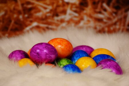 Colorful easter nest egg photo