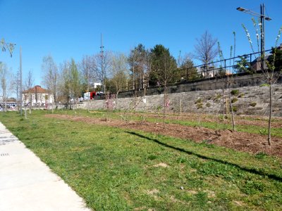 Lyon 2e - Quai Rambaud - Verger de quartier, au sud de la place Général Delfosse