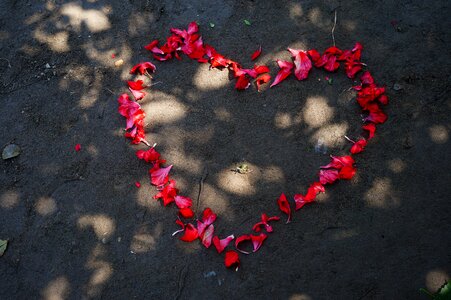 Heart happy petal