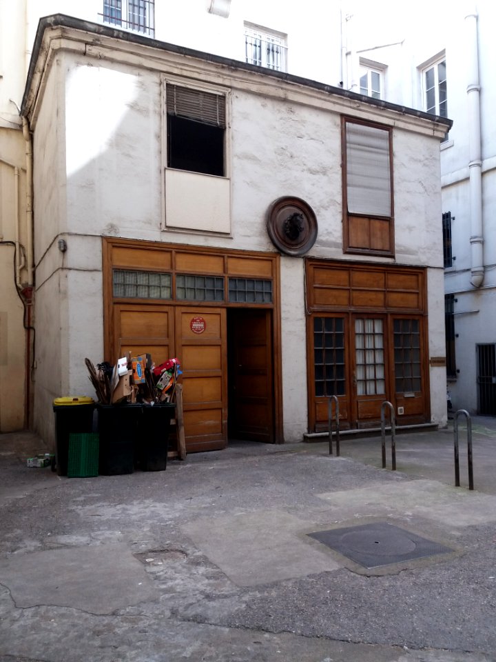 Lyon 2e - Rue des Marronniers, passage au numéro 2, maison à la tête de cheval (3)