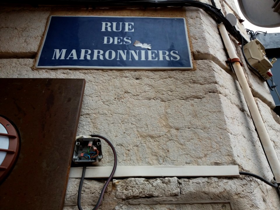 Lyon 2e - Rue des Marronniers, plaque