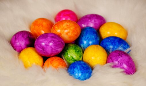 Colorful eggs lambskin happy easter