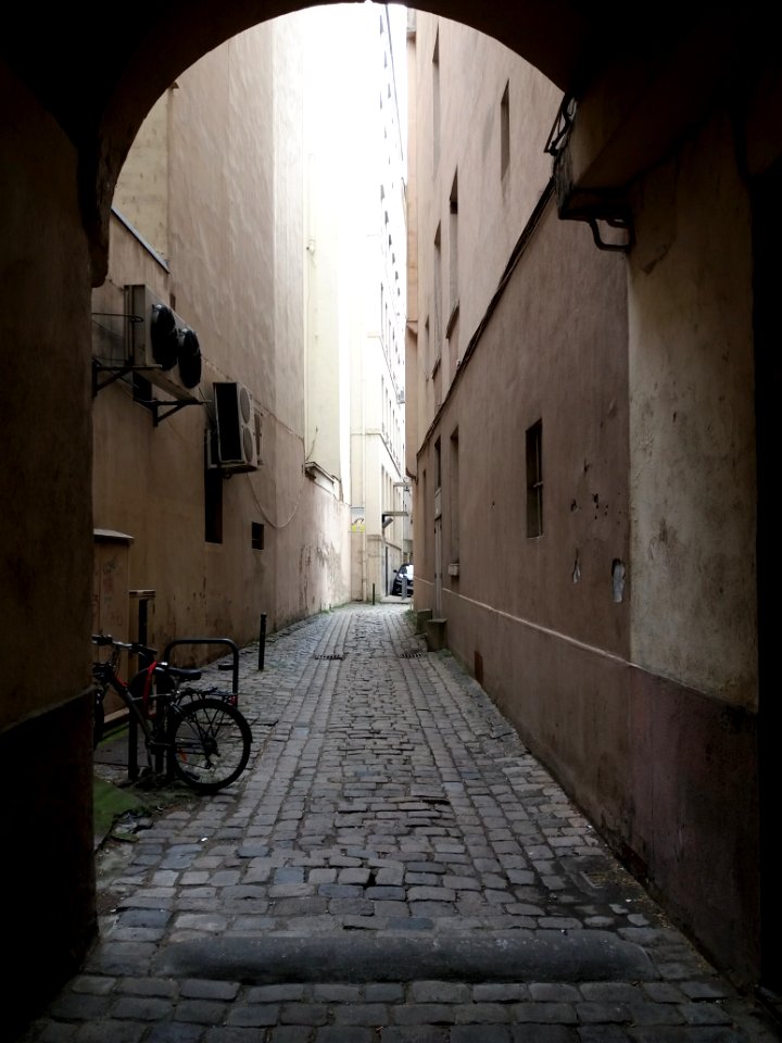 Lyon 2e - Rue des Marronniers, passage au numéro 3bis (1)