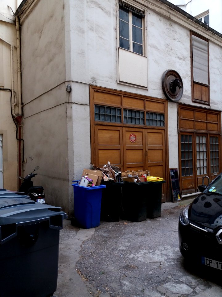 Lyon 2e - Rue des Marronniers, passage au numéro 2, maison à la tête de cheval (1)