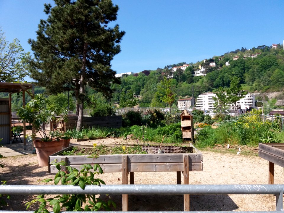 Lyon 2e - Place de la Tunisie, jardin partagé, côté ouest