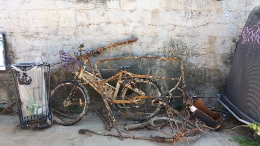 Lyon 2e - Quai des Célestins - Vélos et barrières repêchés dans la Saône