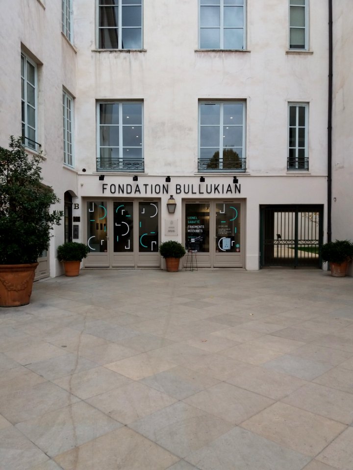 Lyon 2e - Place Bellecour - Fondation Bullukian - Exposition Fragments mouvants, de Lionel Sabatté
