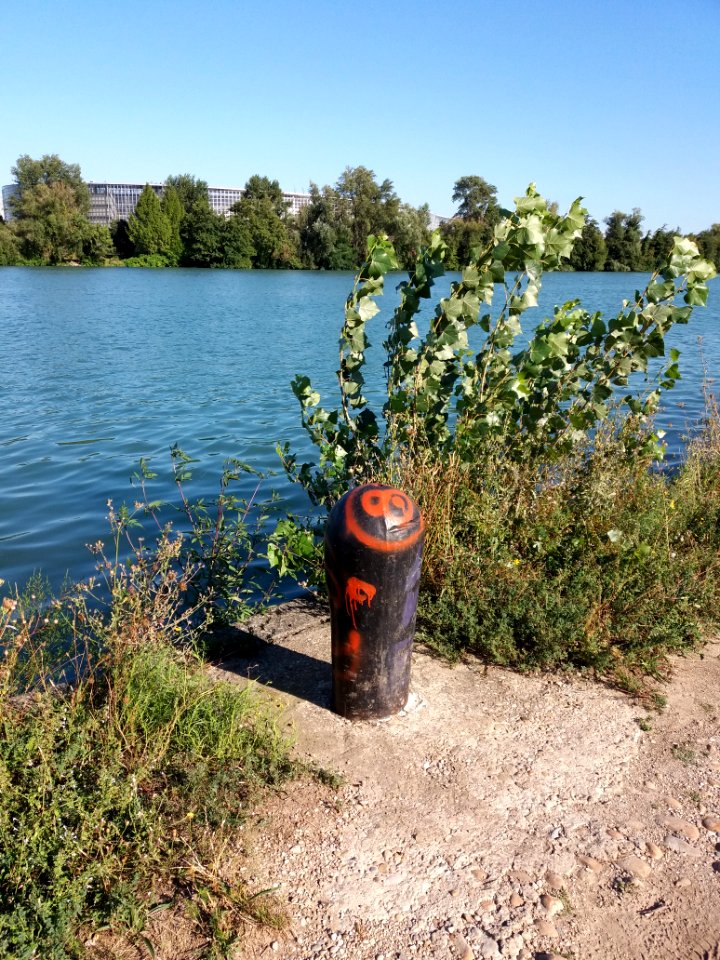 Lyon 2e - Pointe de la Presqu'île - Bitte d'amarrage