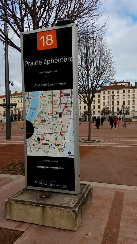 Lyon 2e - Place Bellecour - Fête des Lumières 2019, panneau 18, pairie éphémère