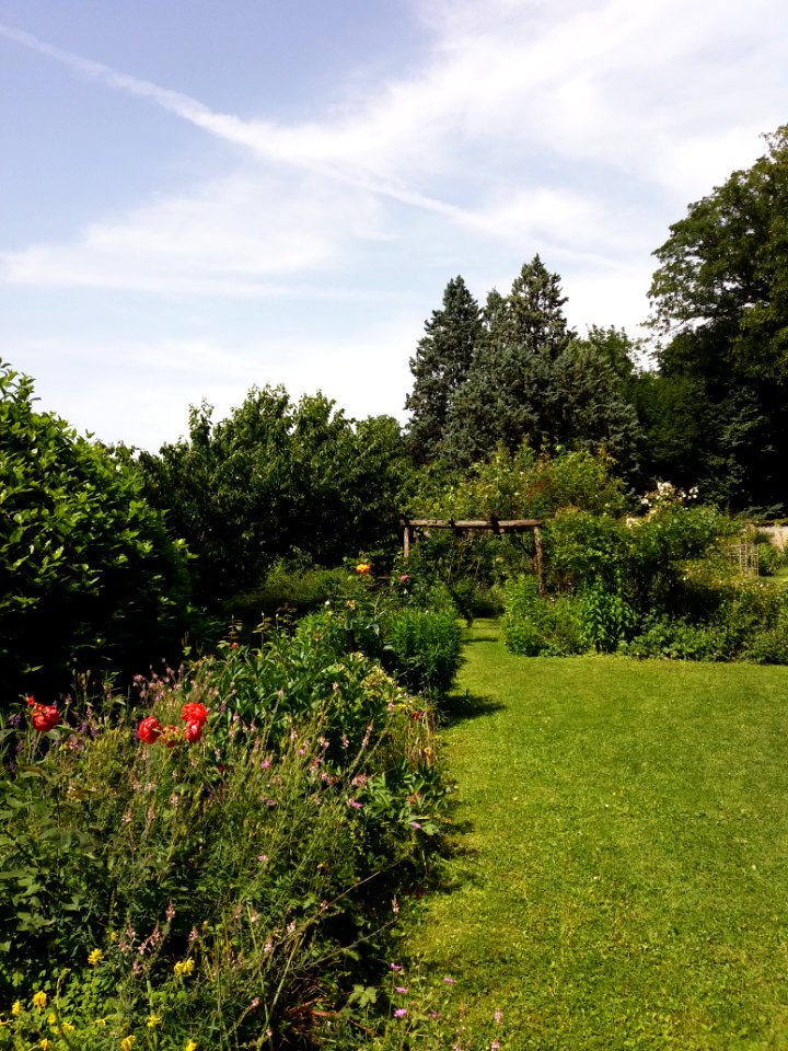 Lyon 4e - Jardin de la Belle Allemande - Allée et pergola