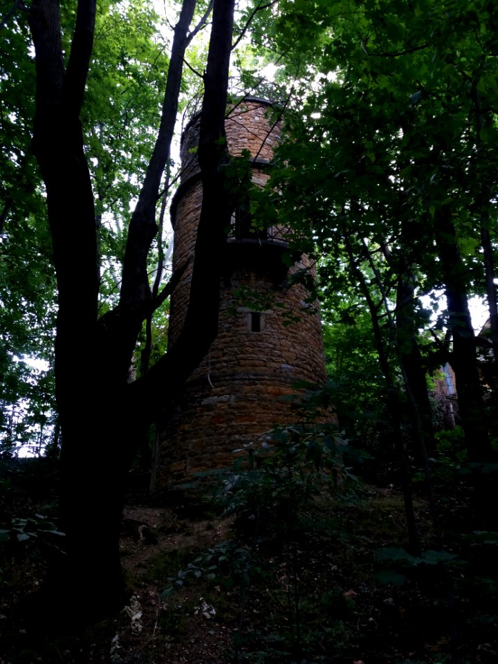 Lyon 4e - Jardin d'Ypres, tour derrière les arbres