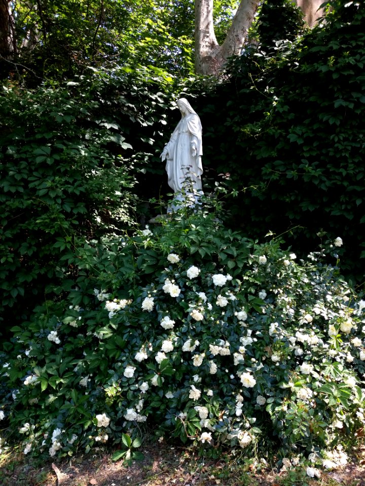 Lyon 4e - Impasse Chazière, vierge et massif de fleurs