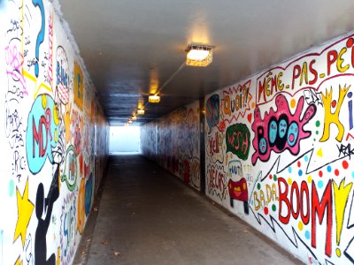 Lyon 4e - Avenue de Birmingham, tunnel qui passe sous la route