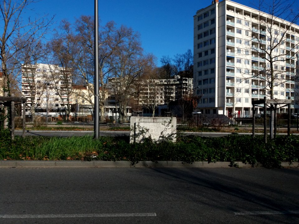Lyon 4e - Avenue de Birmingham, pierre centrale avec le nom de l'avenue, de loin