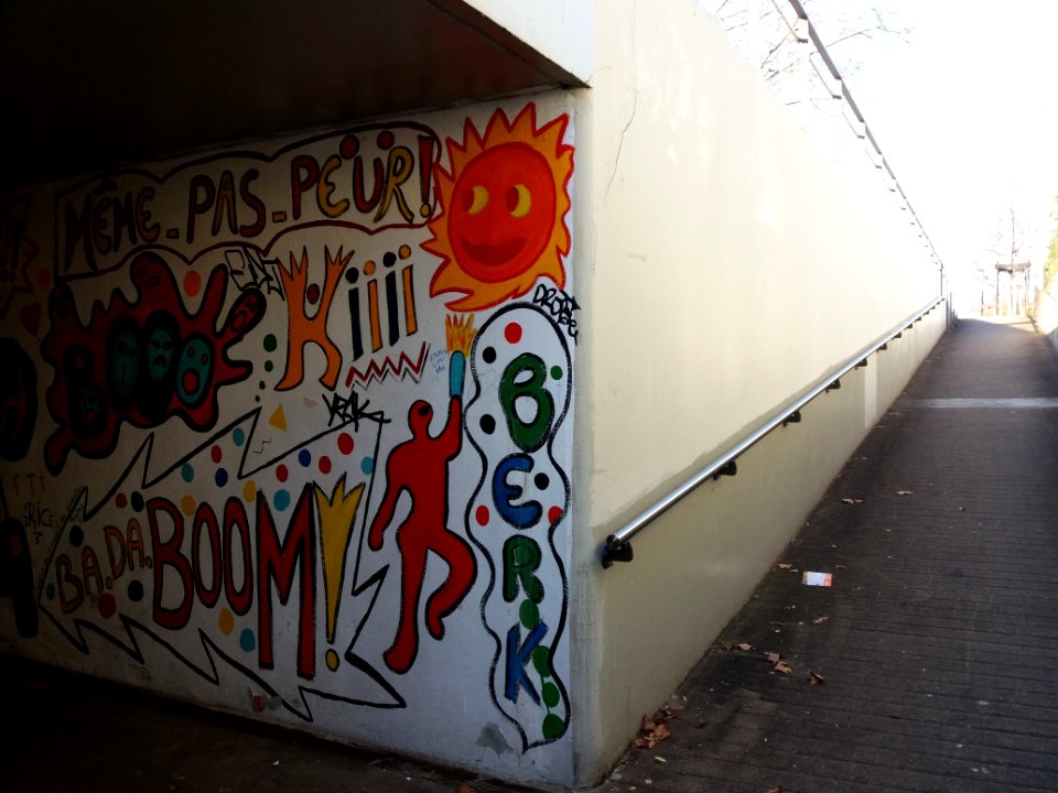 Lyon 4e - Avenue de Birmingham, accès au tunnel qui passe sous la route