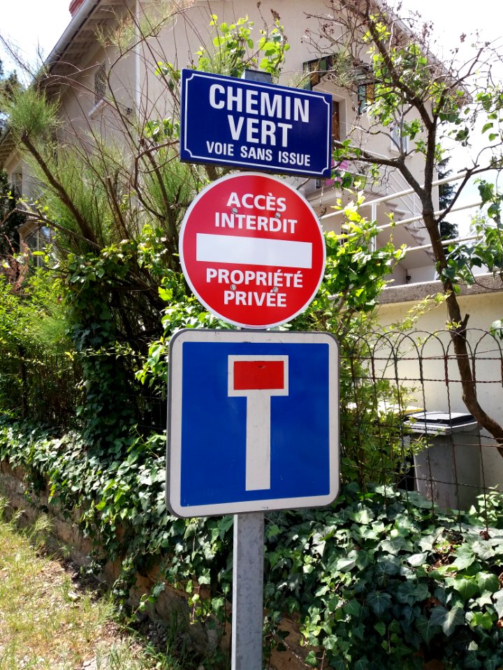 Lyon 4e - Chemin Vert, plaque