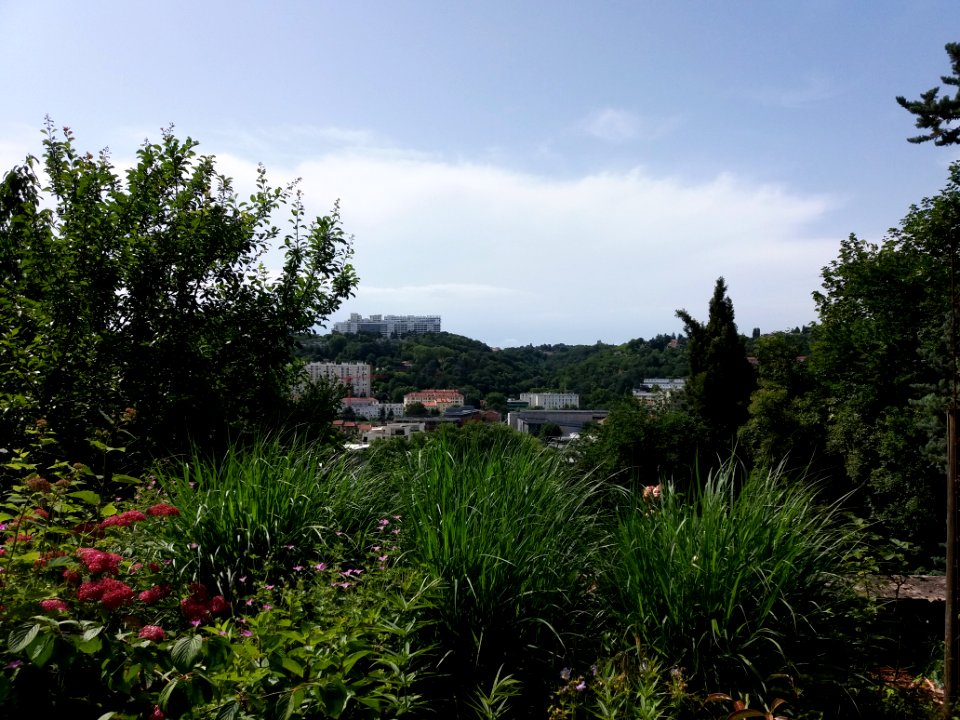 Lyon 4e - Jardin de la Belle Allemande - Vue sur le quartier de Vaise 2