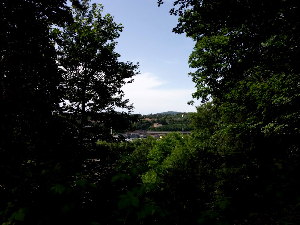 Lyon 4e - Jardin de la Belle Allemande - Vue sur Vaise et l'église de Saint-Didier