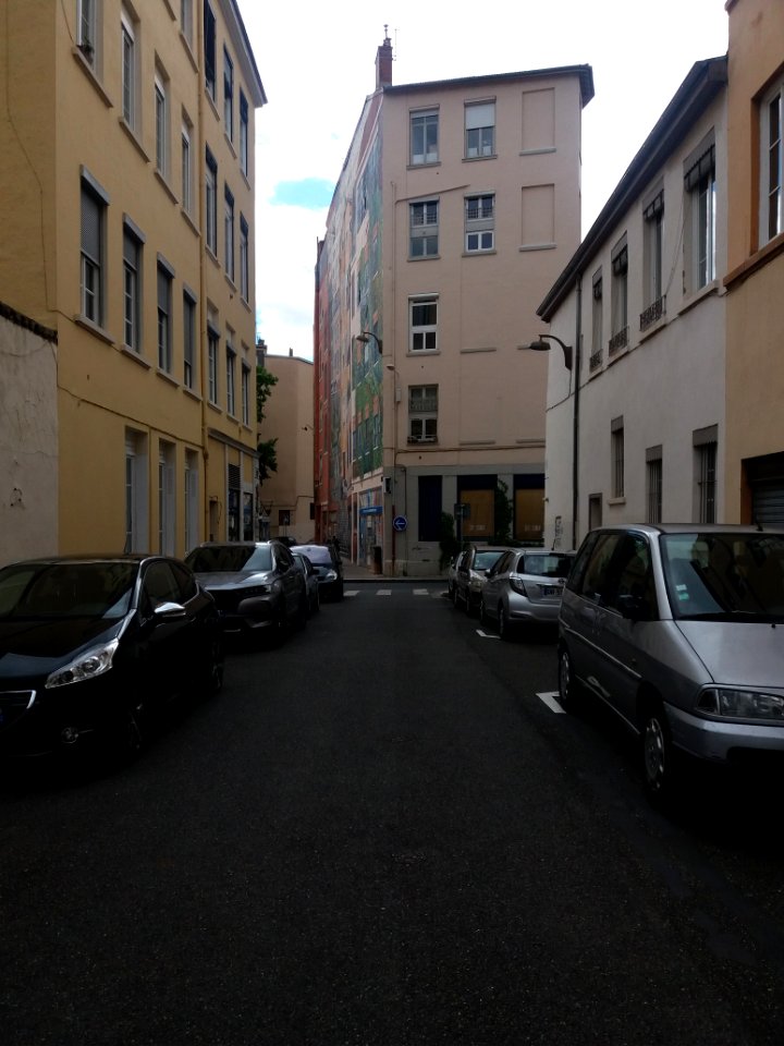 Lyon 4e - Impasse Gord, avec vue sur le mur des Canuts