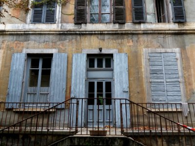 Lyon 3e - Rue Professeur Paul Sisley - Villa Monoyer - Porte et fenêtres à l'arrière 1