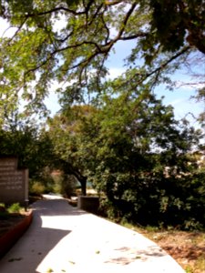 Lyon 5e - Chemin de Montauban - Couvent des Carmes déchaussés, jardins (06)