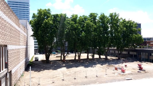 Lyon 3e - Rue Servient - Esplanade arborée entre le centre commercial et la Cité administrative