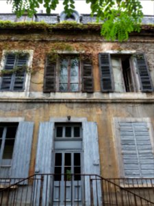 Lyon 3e - Rue Professeur Paul Sisley - Villa Monoyer - Porte et fenêtres à l'arrière 2