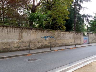 Lyon 3e - Rue Saint Maximin, mur de la villa Monoyer
