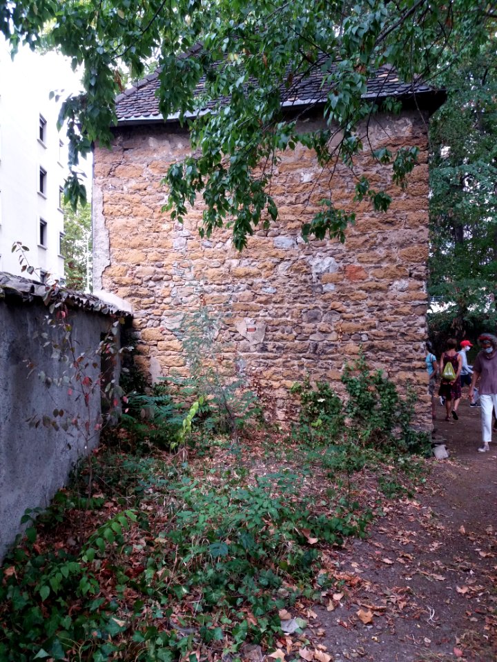 Lyon 3e - Rue Professeur Paul Sisley - Villa Monoyer - Chapelle - Mur sud
