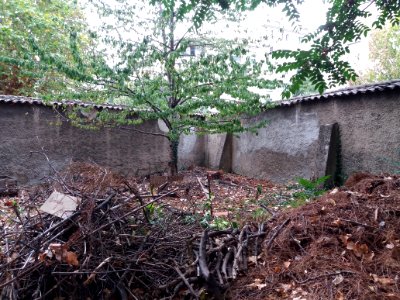 Lyon 3e - Rue Professeur Paul Sisley - Villa Monoyer - Ancien potager